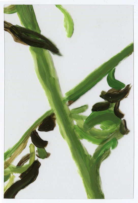 Alex Fischer, Vii F2 Acrylic on Acrylic, 2015-02-23